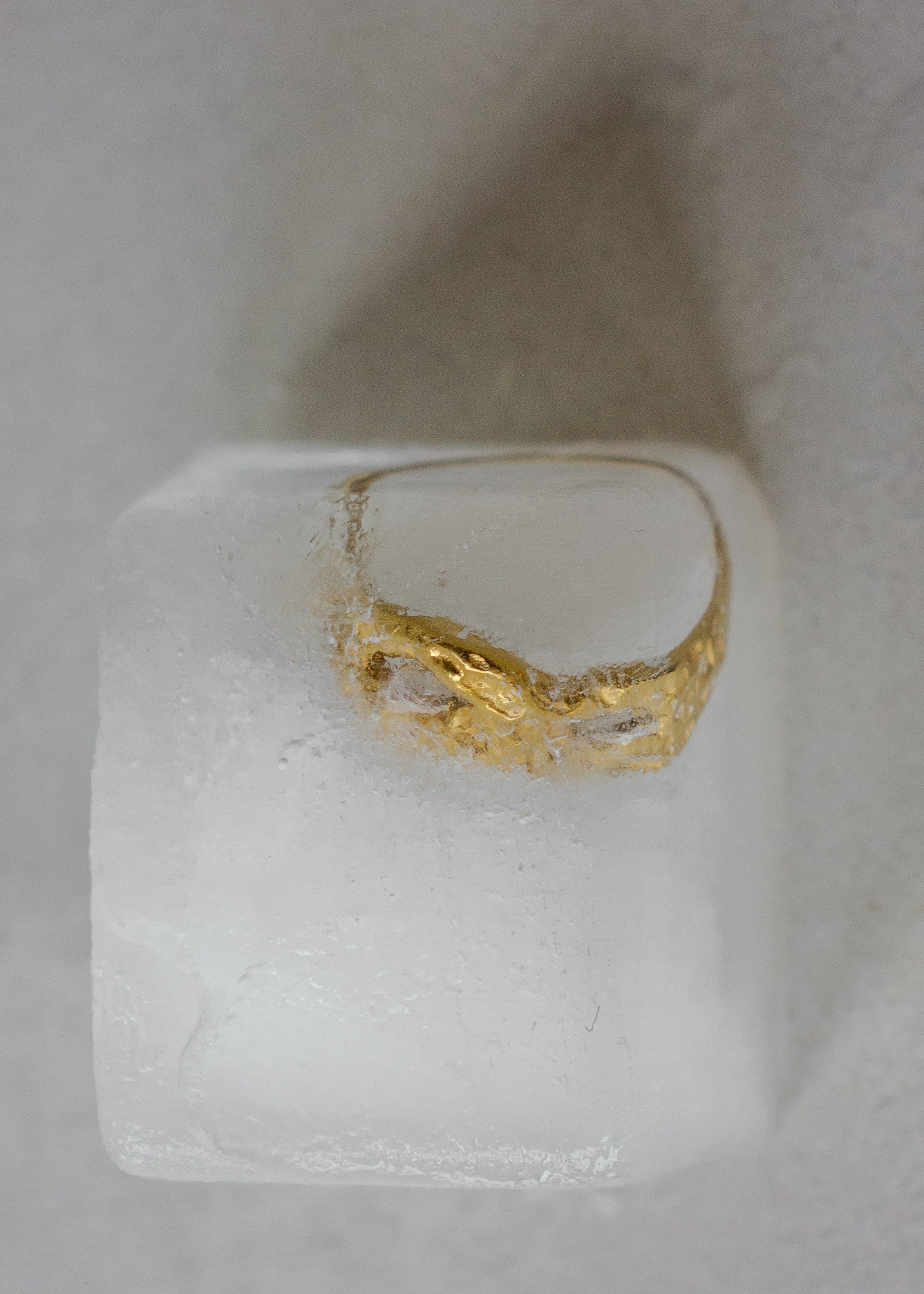 DESHIELO RING - Image 3